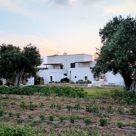 רוזה מרינה Masseria Piccole Taverne מראה חיצוני תמונה