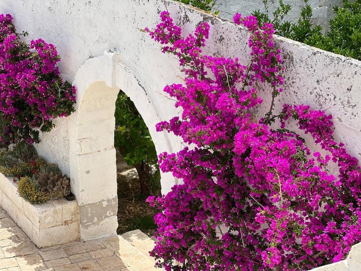 רוזה מרינה Masseria Piccole Taverne מראה חיצוני תמונה