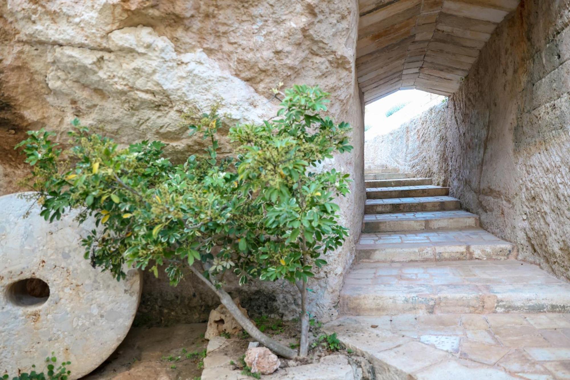 רוזה מרינה Masseria Piccole Taverne מראה חיצוני תמונה