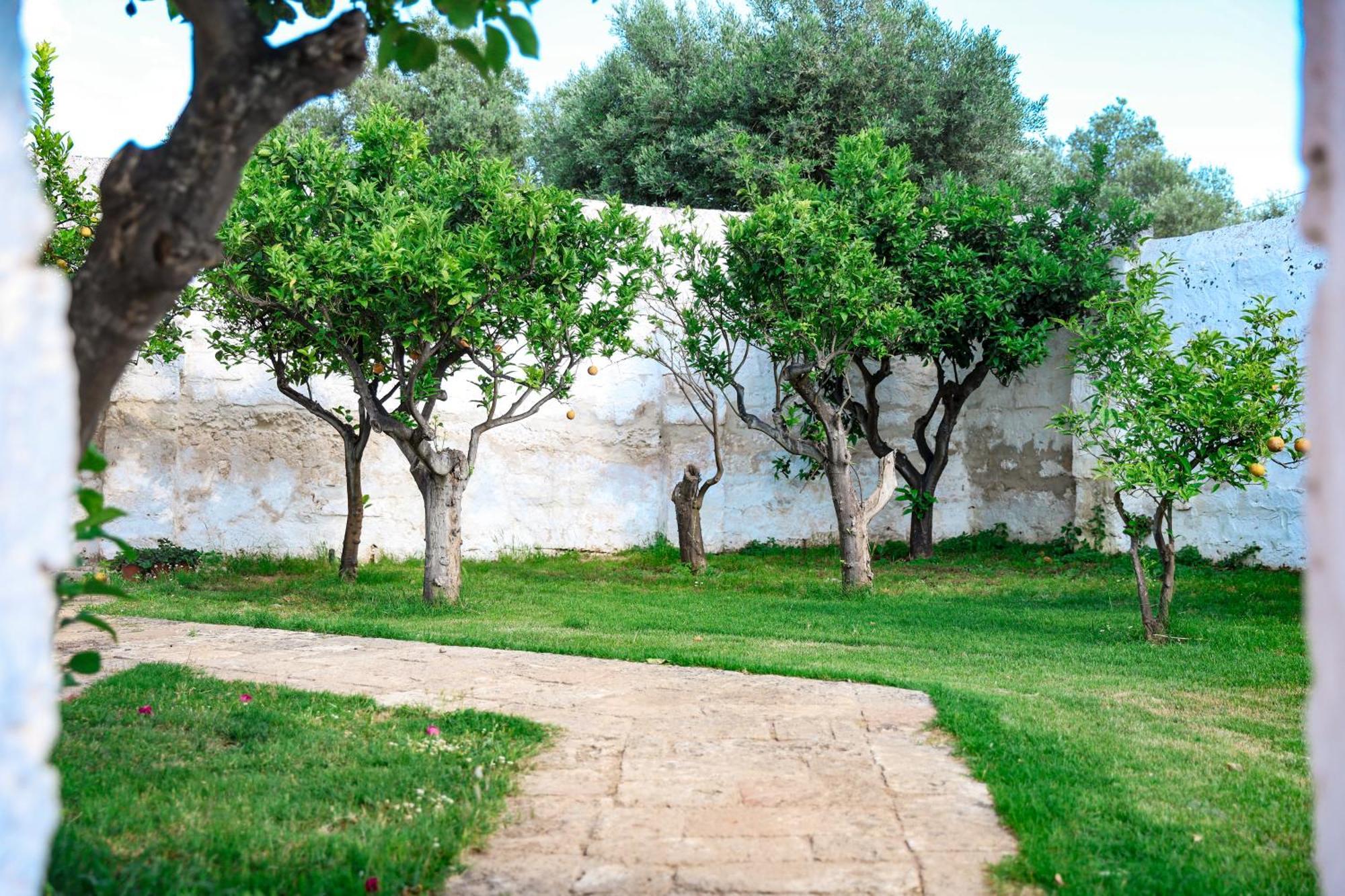 רוזה מרינה Masseria Piccole Taverne מראה חיצוני תמונה